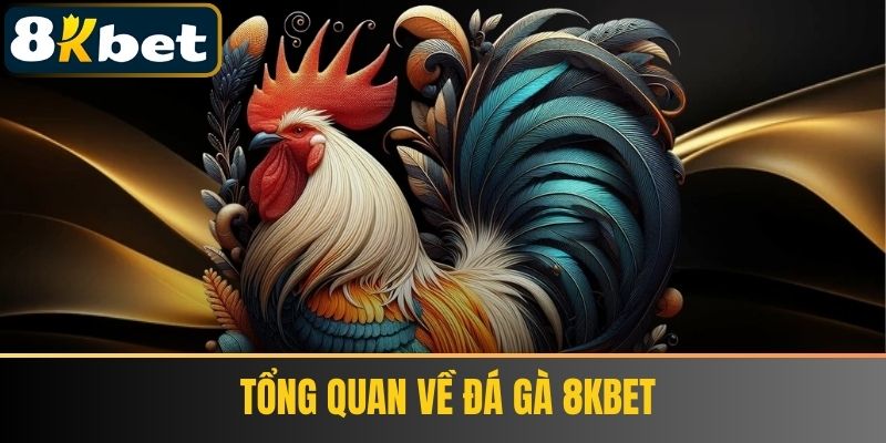 Tổng quan về Đá Gà 8Kbet
