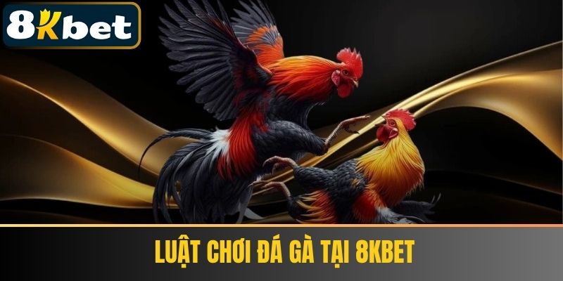 Luật chơi Đá Gà tại 8Kbet