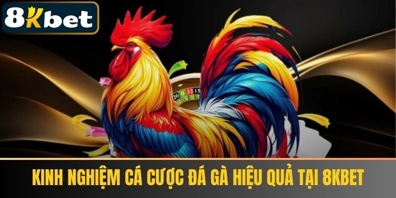 Kinh nghiệm cá cược Đá Gà hiệu quả tại 8Kbet