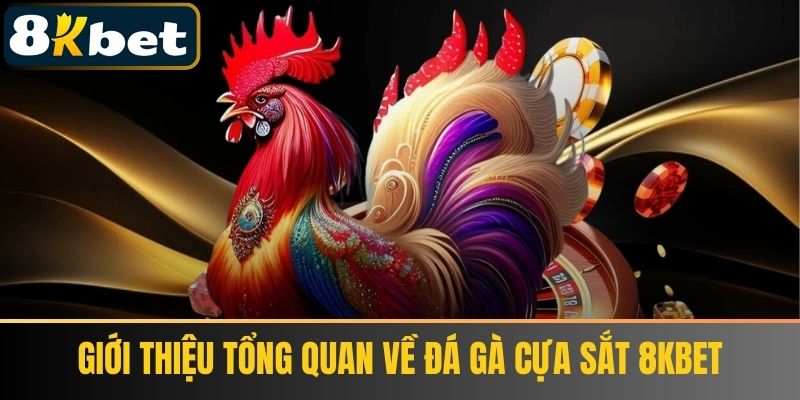 Giới Thiệu Tổng Quan Về Đá Gà Cựa Sắt 8KBET
