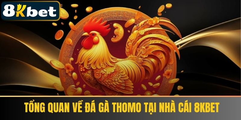 Tổng quan về đá gà Thomo tại nhà cái 8KBET
