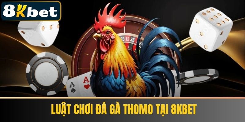 Luật chơi đá gà Thomo tại 8KBET