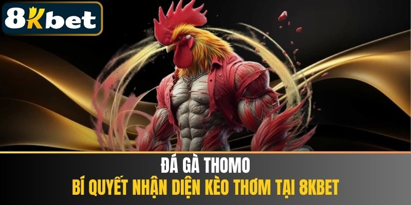 Đá Gà Thomo - Bí Quyết Nhận Diện Kèo Thơm Tại 8KBET