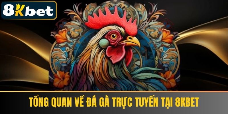Tổng quan về Đá gà trực tuyến tại 8KBET