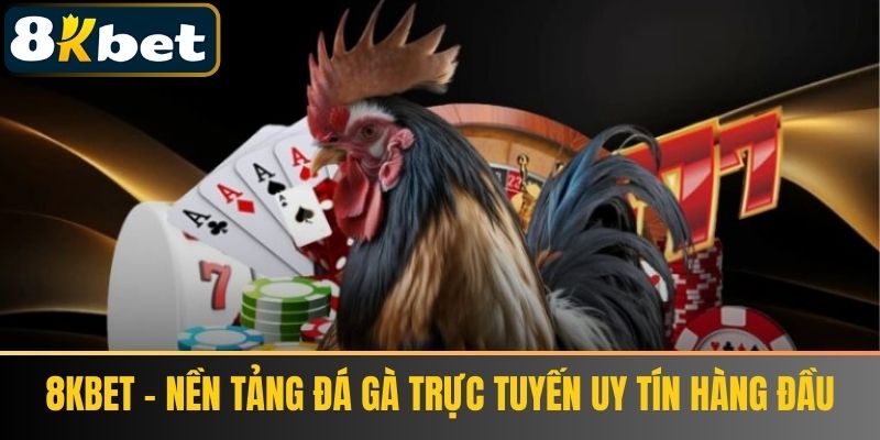 8KBET - Nền tảng đá gà trực tuyến uy tín hàng đầu