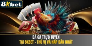 Đá Gà Trực Tuyến Tại 8kbet - Thú Vị Và Hấp Dẫn Nhất