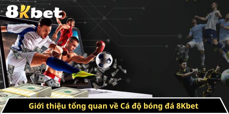 Giới thiệu tổng quan về Cá độ bóng đá 8Kbet 