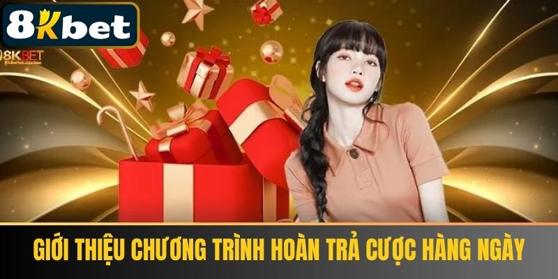 Giới Thiệu Chương Trình Hoàn Trả Cược Hàng Ngày