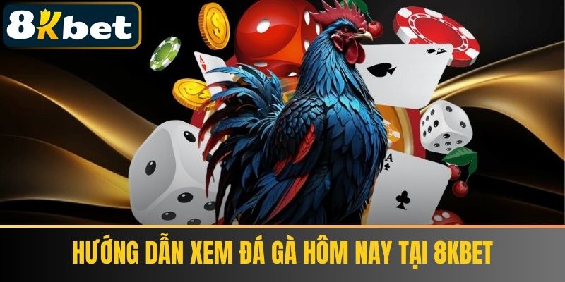 Hướng Dẫn Xem Đá Gà Hôm Nay tại 8KBET