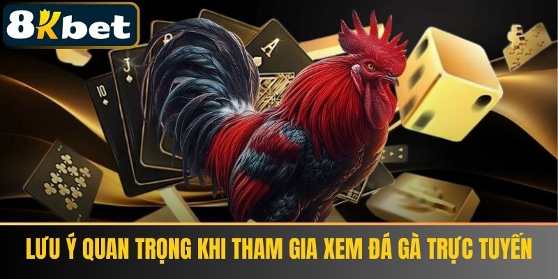 Lưu Ý Quan Trọng Khi Tham Gia Xem Đá Gà Trực Tuyến 